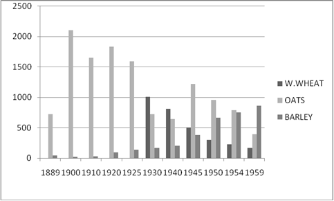 Grain Production SJC
